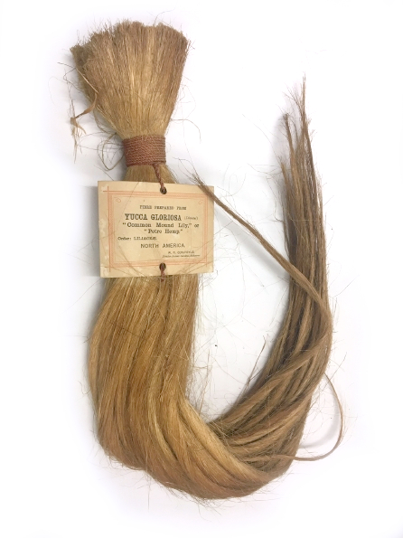 Fibre sample from the Museum of Economic Botany